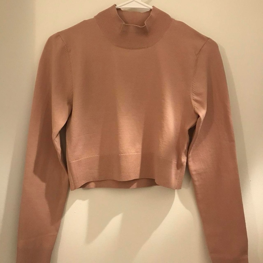 Size small pinkish beige mock neck long sleeve top. Slightly cropped. NWOT.